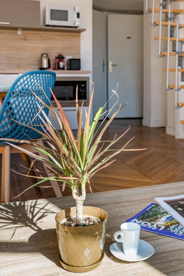 Le Royale Haussmann 4 Places Loft Canut Λυών Εξωτερικό φωτογραφία